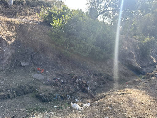 Photo from customer review